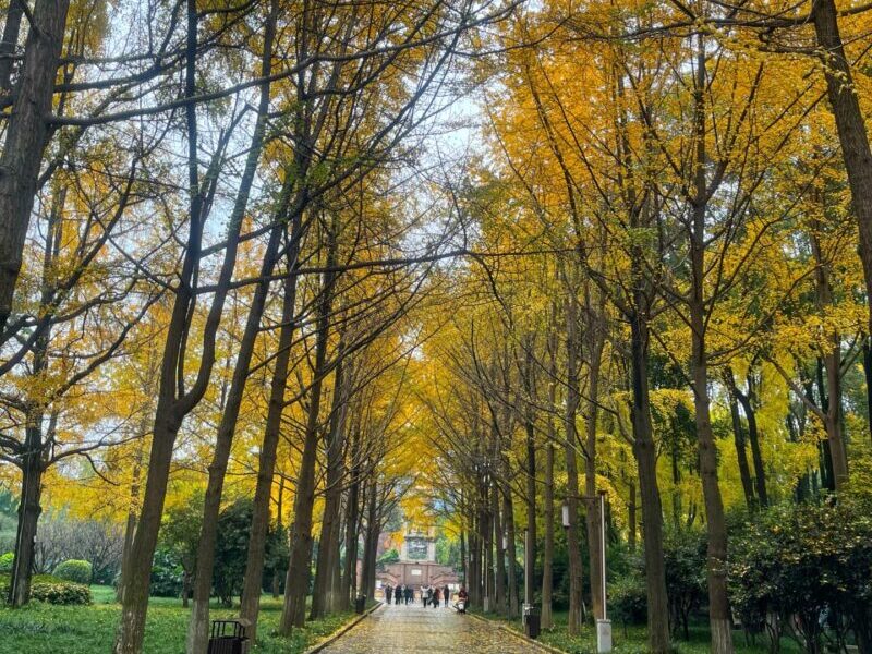 Chengdu People's Park