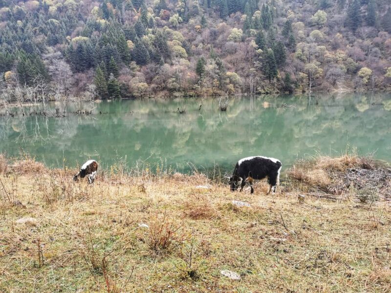 Dagu Glacier Itinerary - Breathtaking View