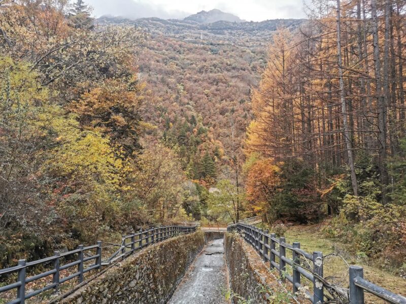 Dagu Glacier Itinerary - Serene Scenery