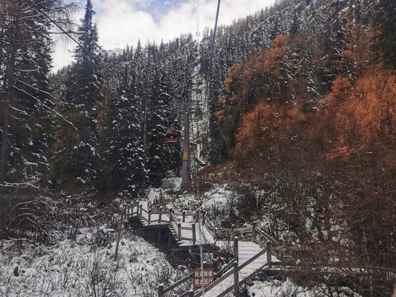 Dagu Glacier Wooden Platform Paved Path