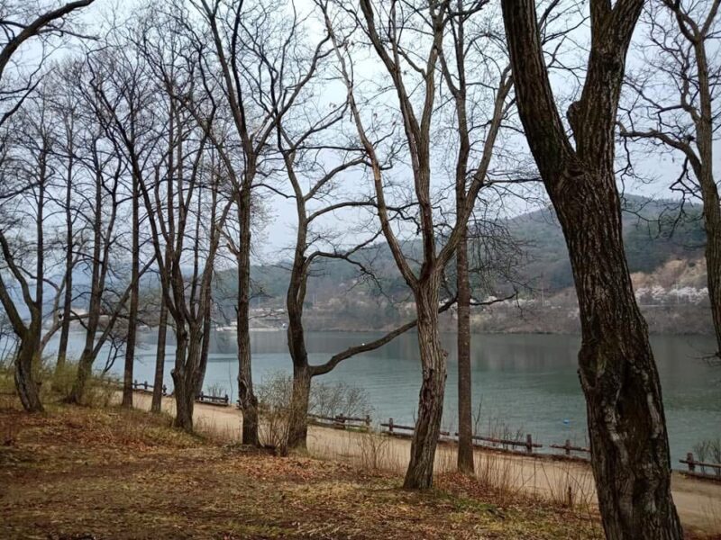 Enjoy View at Nami Island