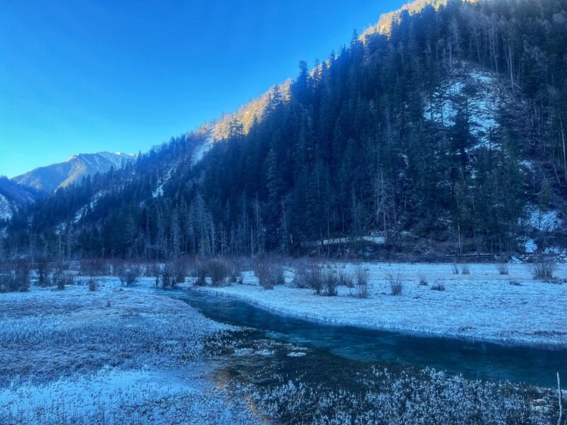 Jiuzhaigou travel guide - Arrow Bamboo Lake