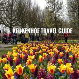 Kenkenhof Travel Guide Blog