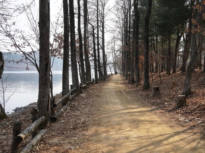 Lake Scenery Nami Island travel blog