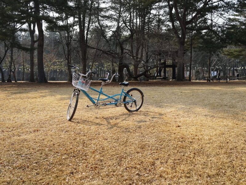 Leisure Time at Nami Island