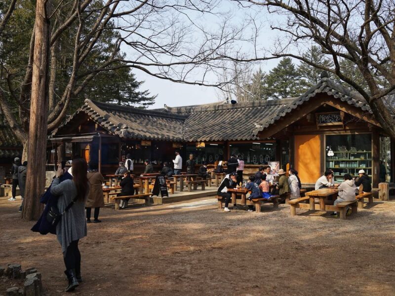 Nami Island travel blog