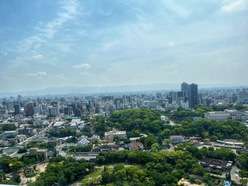 View from Tsutenkaku Tower