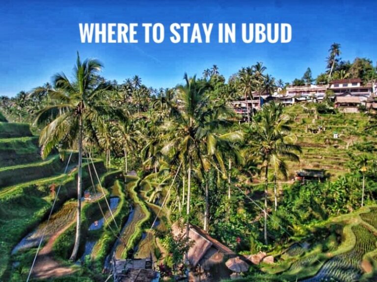 Where To Stay In Ubud Best Places And Hotels Mytravelbuzzg